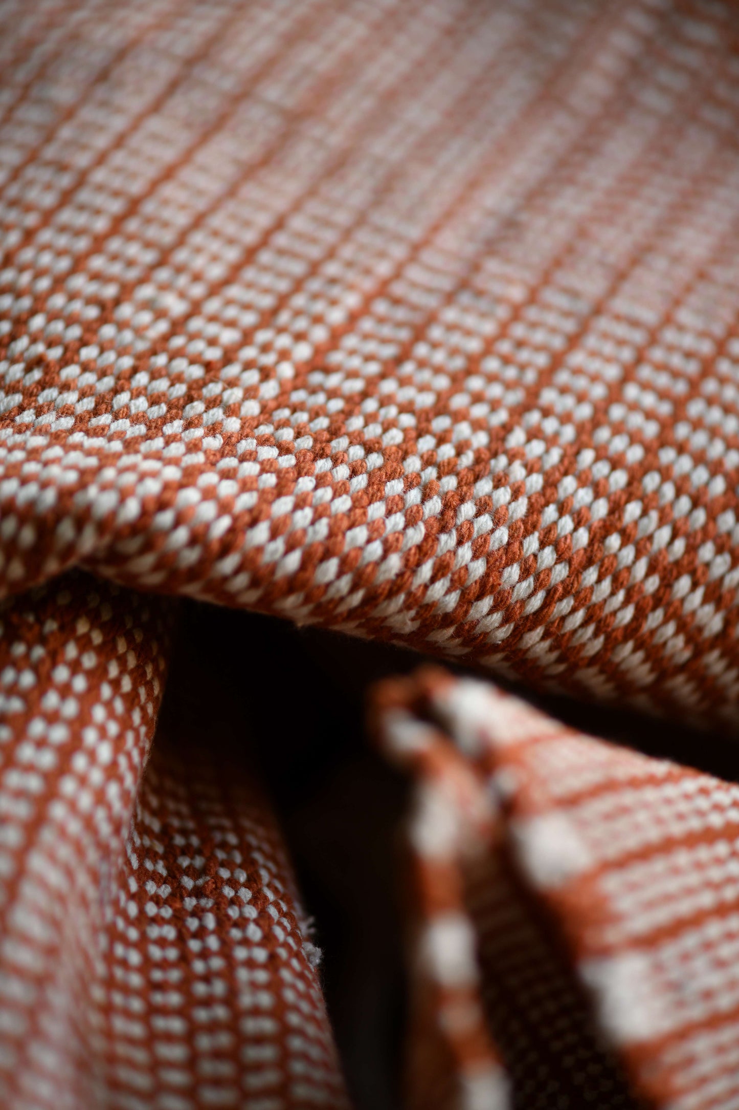 Motion  Cotton Kilim Rug